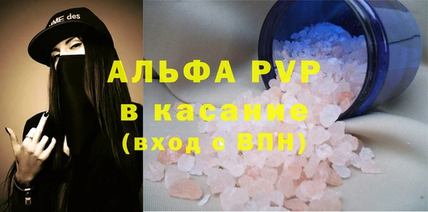 стаф Медногорск