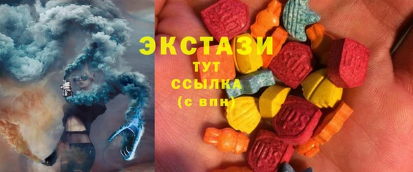 шишки Сураж