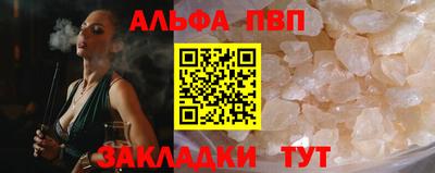 СК Гатчина
