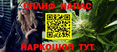 СК Гатчина