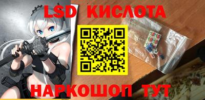 PSILOCYBIN Гай
