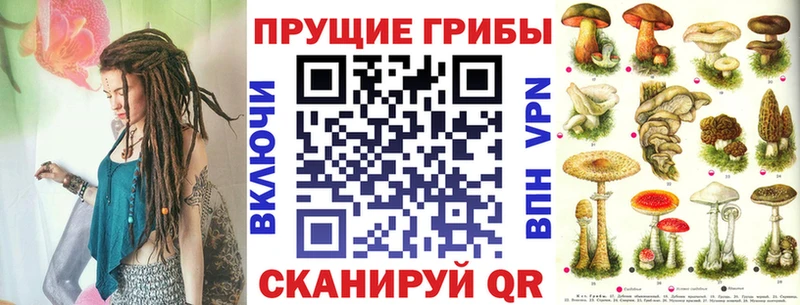 Галлюциногенные грибы GOLDEN TEACHER  сколько стоит  Калининград 