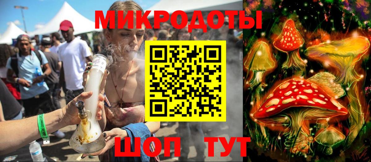 Псилоцибиновые грибы Psilocybine cubensis Калининград