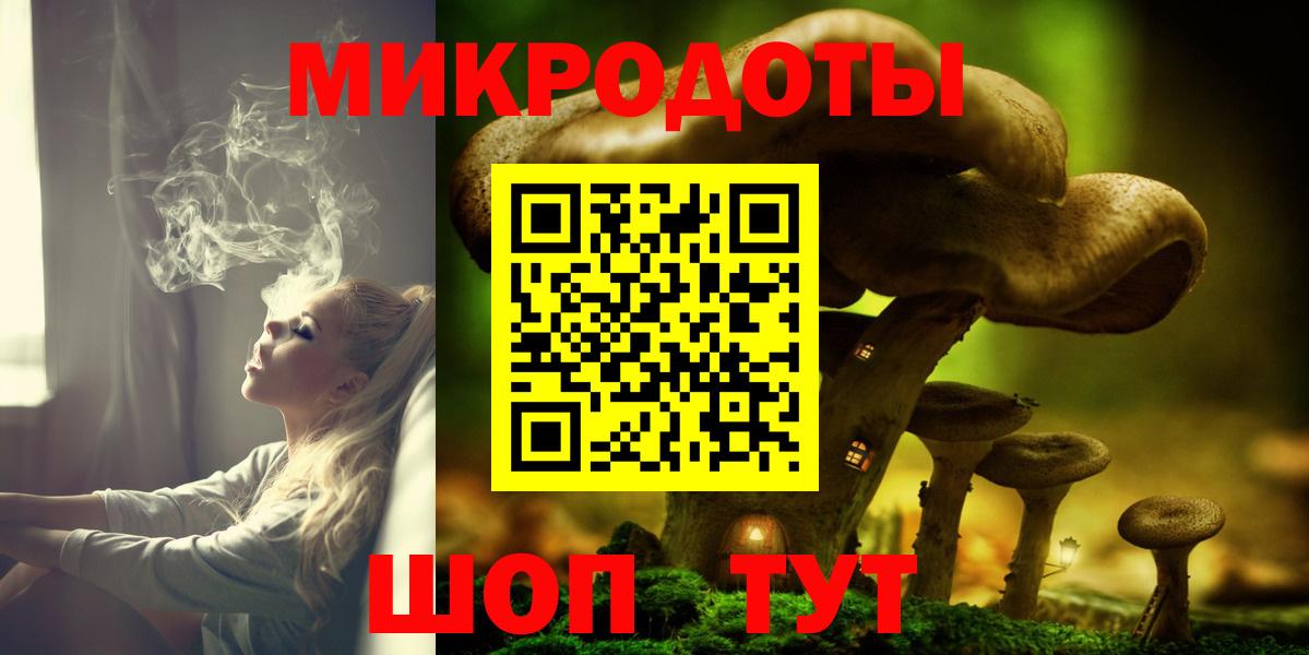 Галлюциногенные грибы Psilocybe Калининград