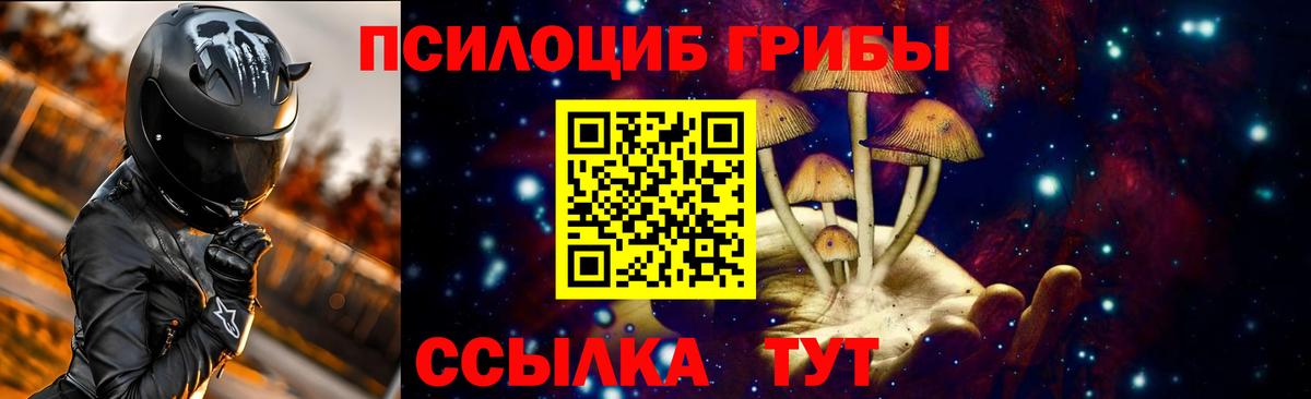 Псилоцибиновые грибы Magic Shrooms  Псилоцибиновые грибы мицелий  Калининград 
